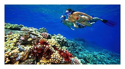 лучшие отели в египте с кораллами